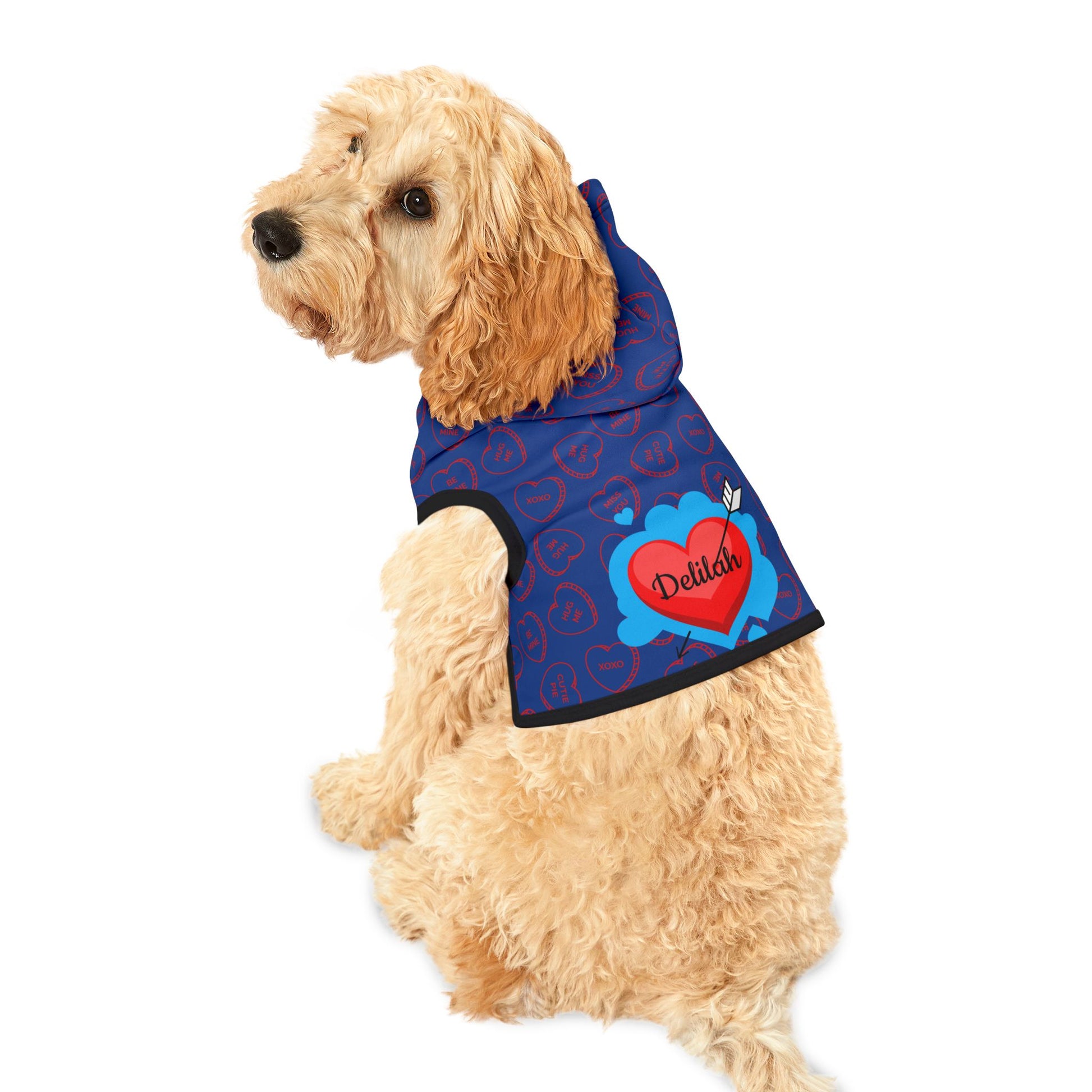 Pet Hoodie - Ramshackle Shack