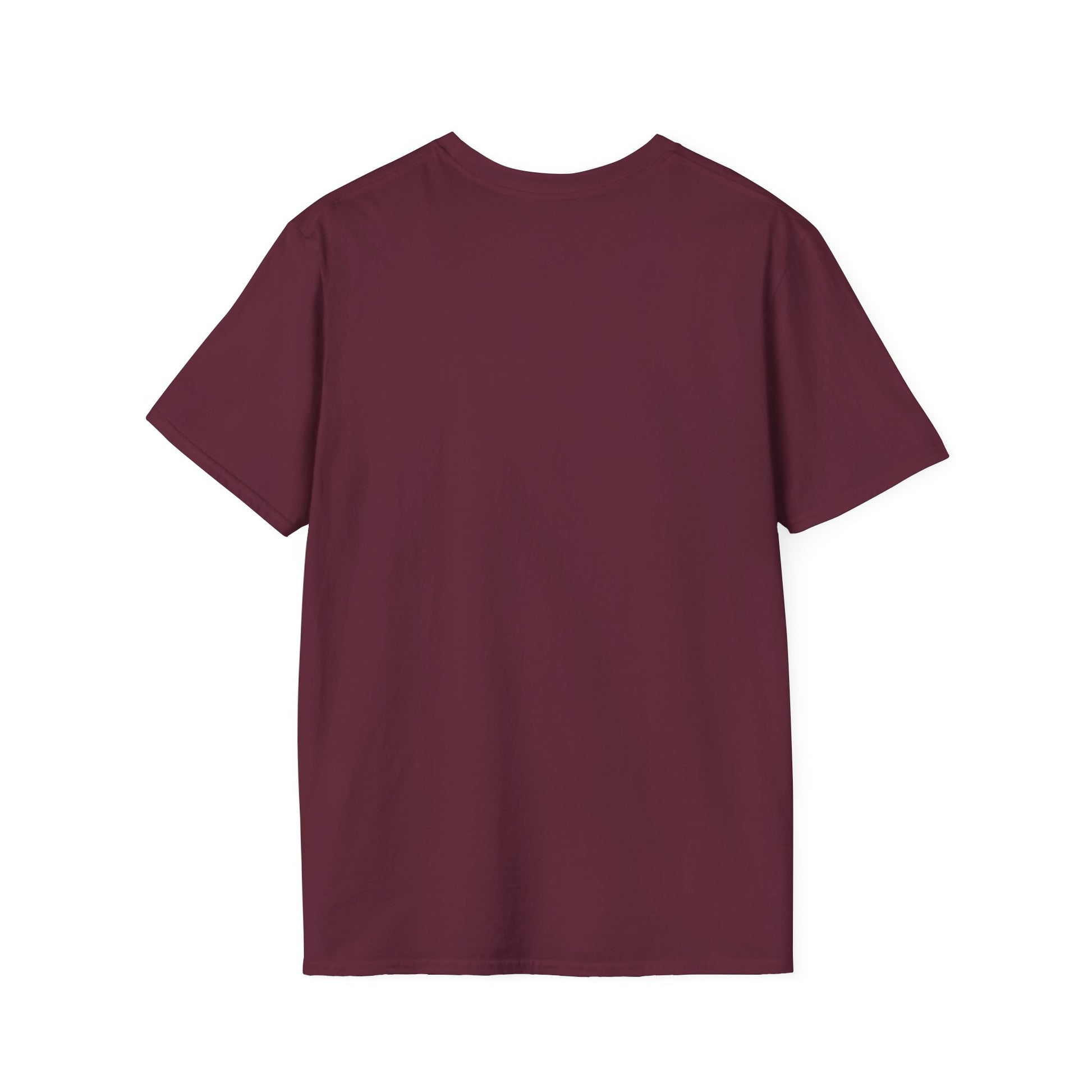 Funny graphic T-shirt from Printify featuring text "I Like Two Things: Titties and Tacos" on a casual taco-themed T-shirt.